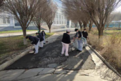 市平易近政局病媒生物防制工做进行具体放置