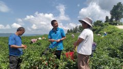 可是也不克不及少了氮